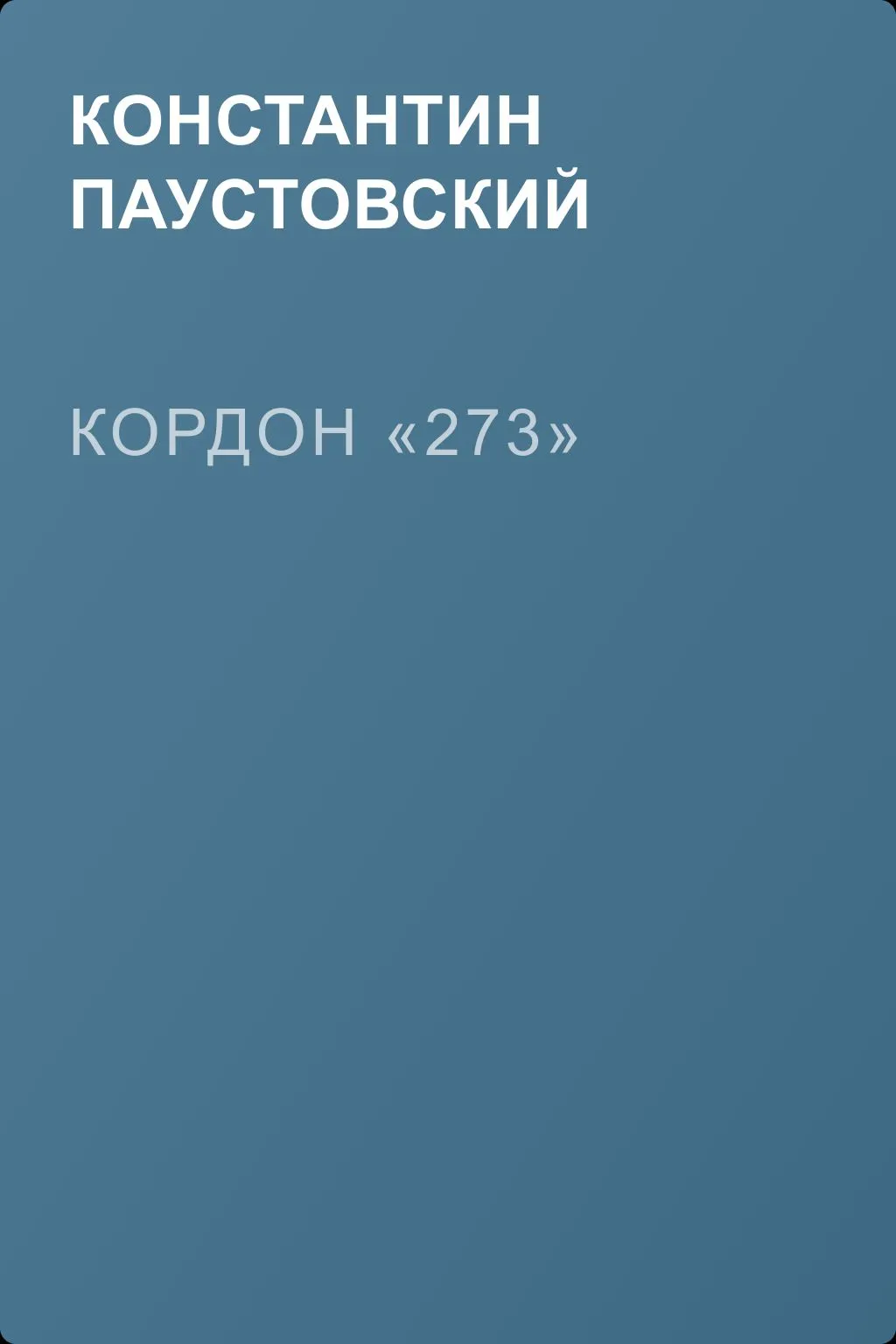 Кордон «273» — обложка книги