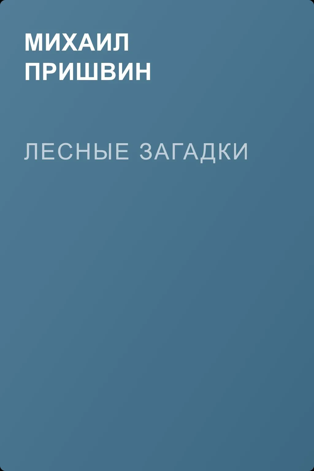 Лесные загадки — обложка книги