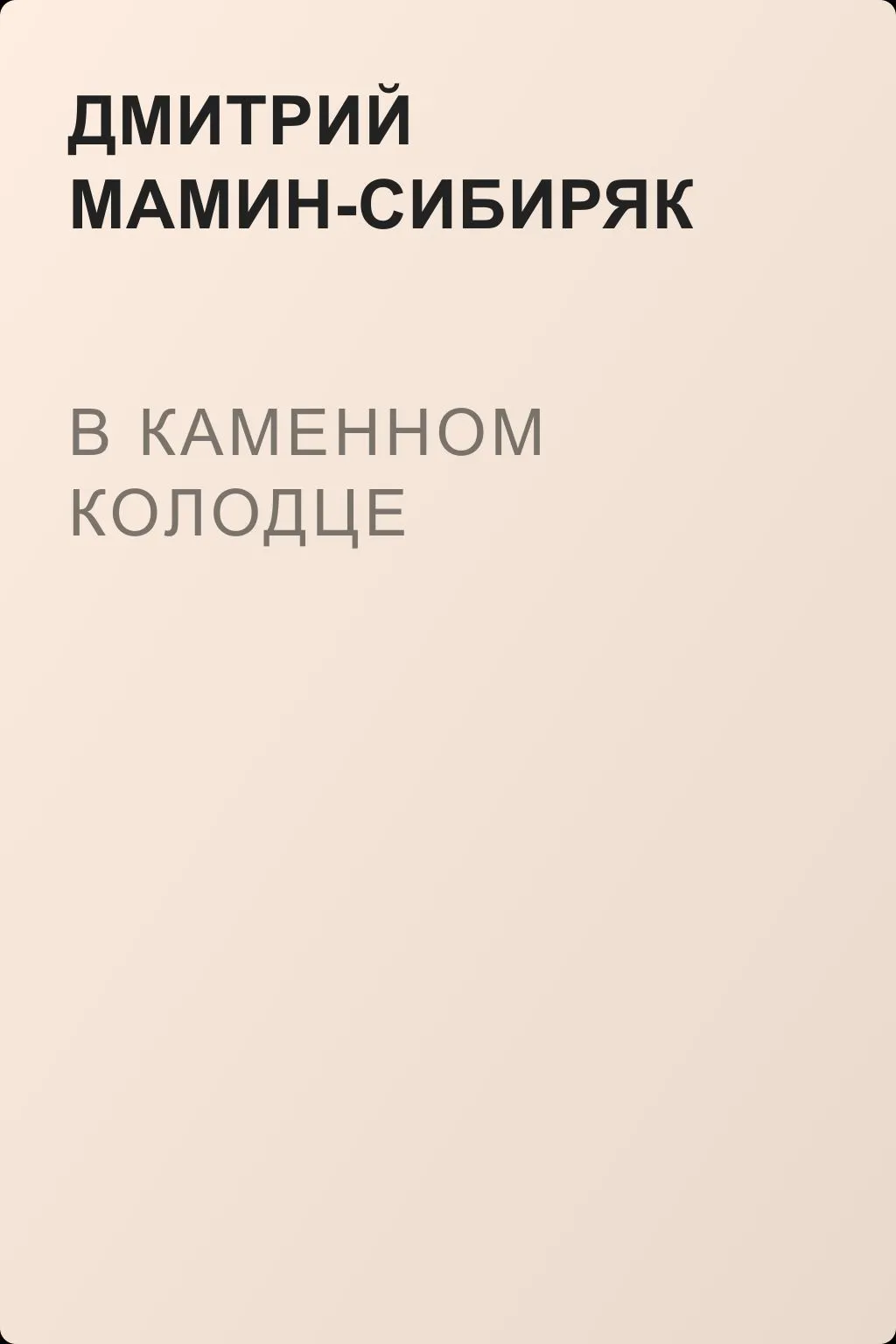 В каменном колодце — обложка книги