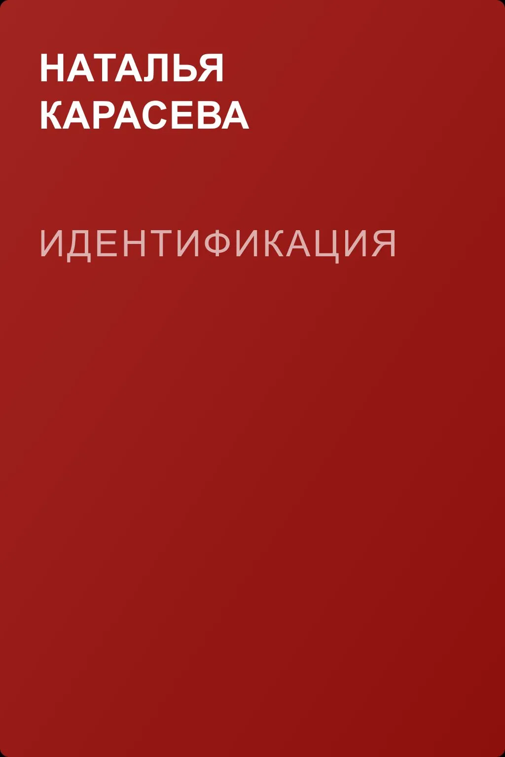 Идентификация — обложка книги
