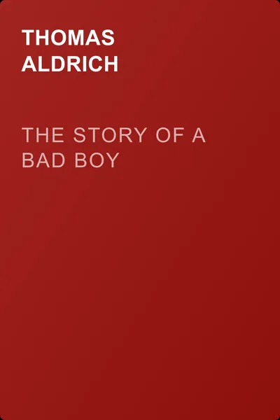 The Story of a Bad Boy — обложка книги