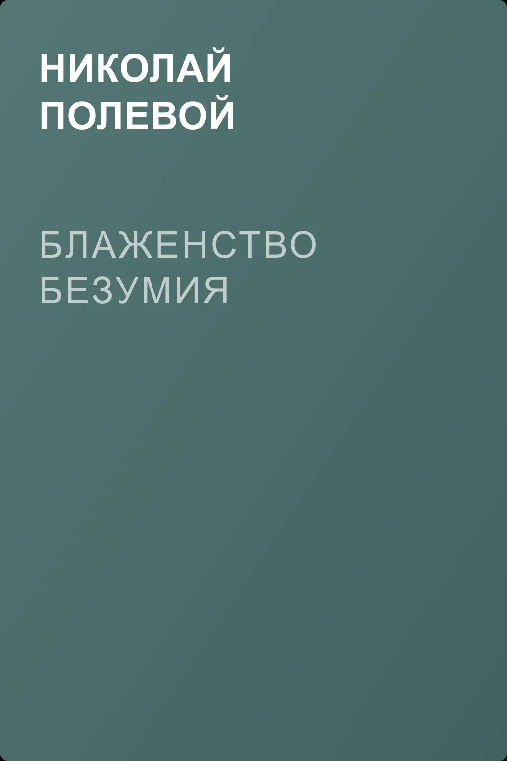 Блаженство безумия — обложка книги