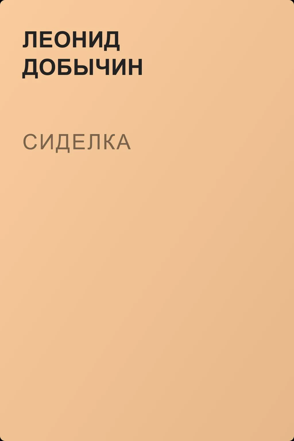 Сиделка — обложка книги