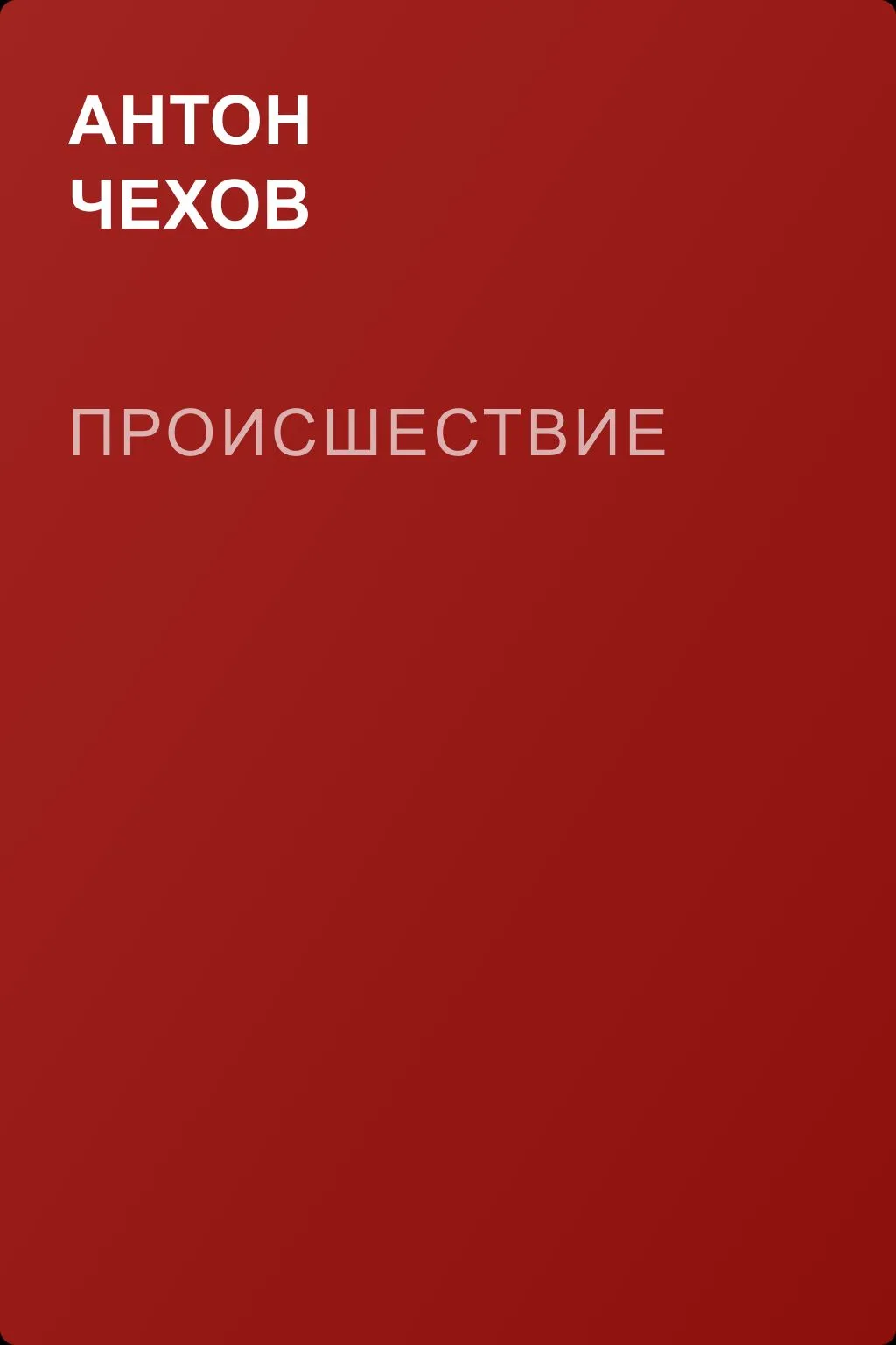 Происшествие — обложка книги