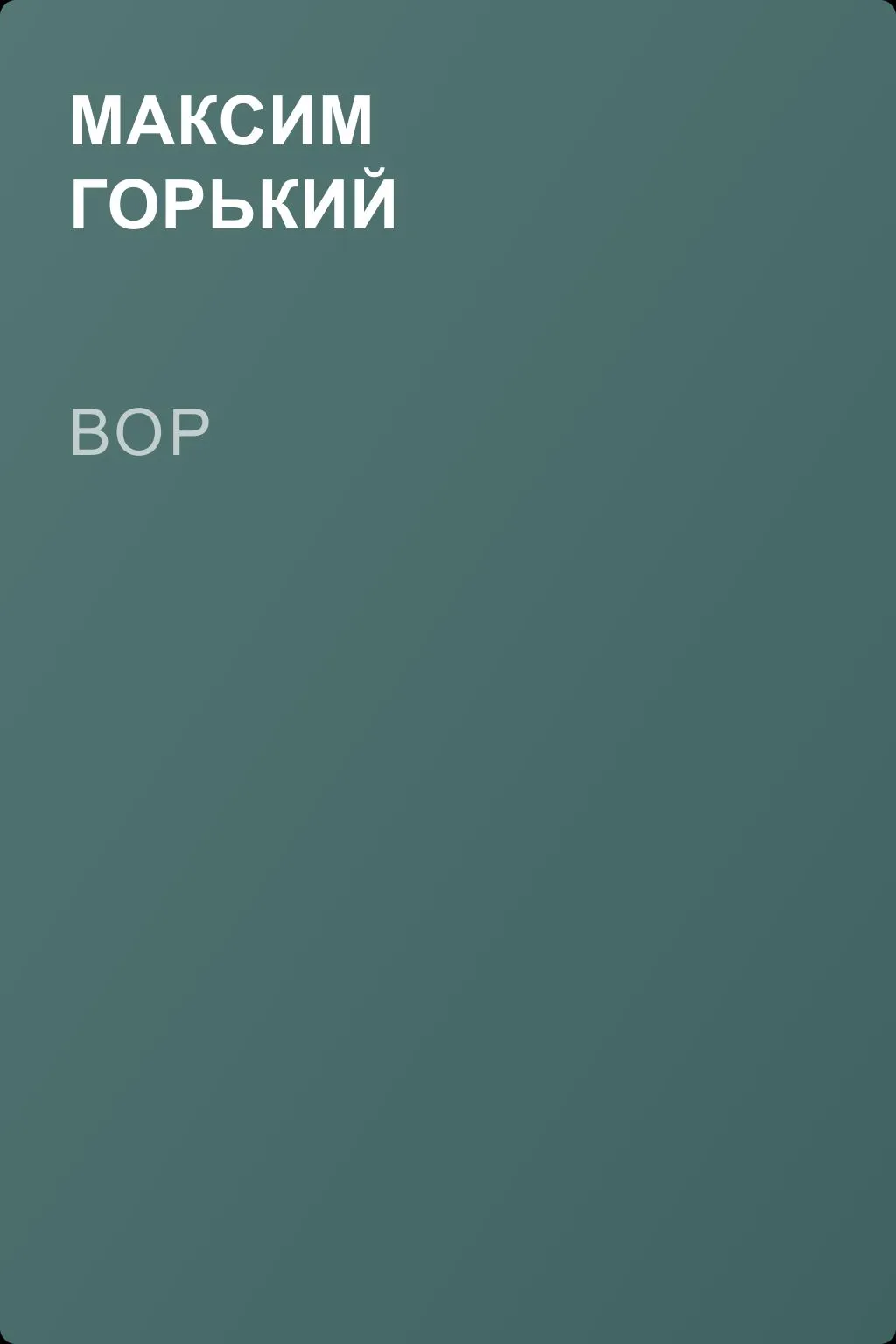 Вор — обложка книги