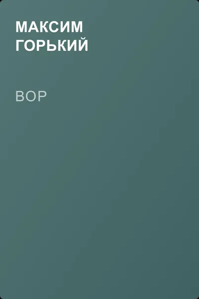 Вор — обложка книги