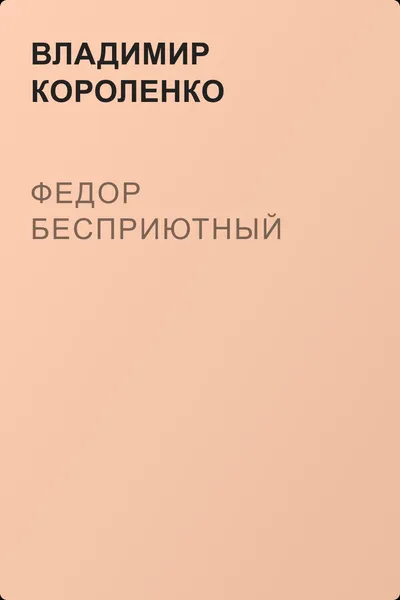 Федор Бесприютный — обложка книги