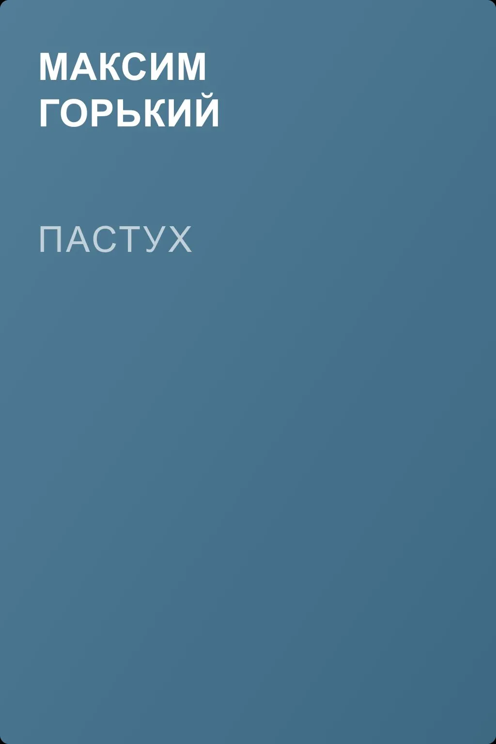 Пастух — обложка книги