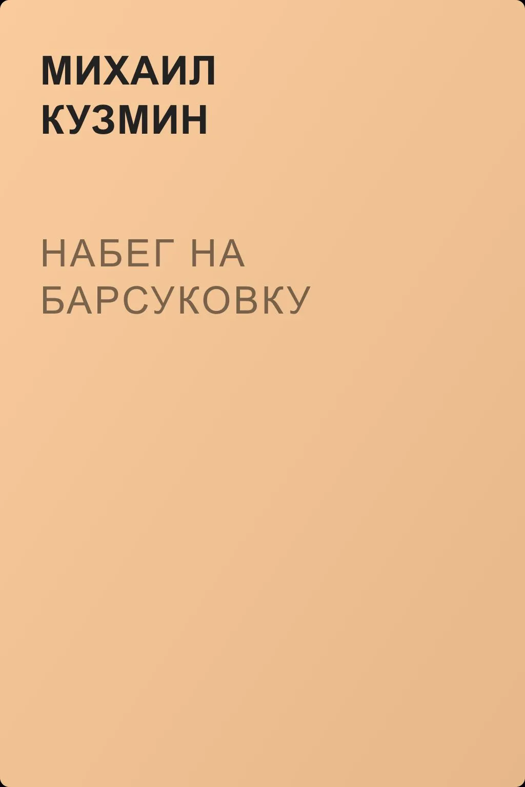 Набег на Барсуковку — обложка книги