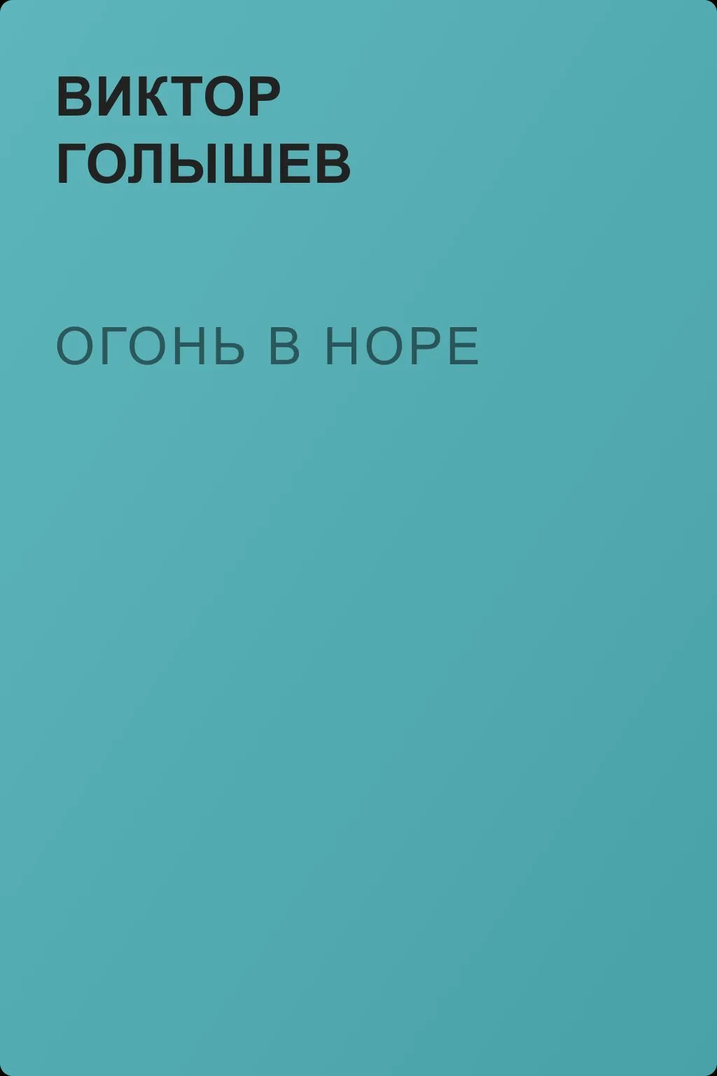 Огонь в норе — обложка книги