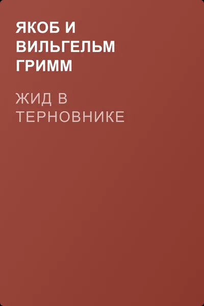 Жид в терновнике — обложка книги