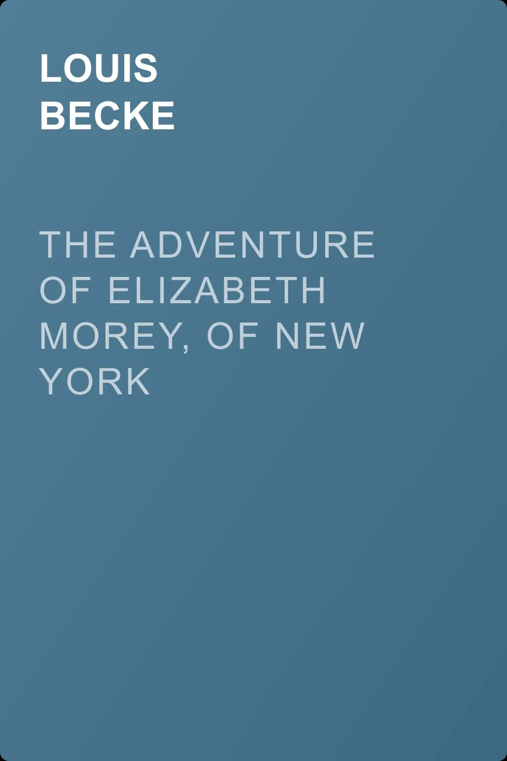 The Adventure Of Elizabeth Morey, of New York — обложка книги