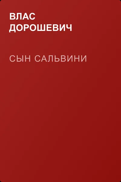 Сын Сальвини — обложка книги