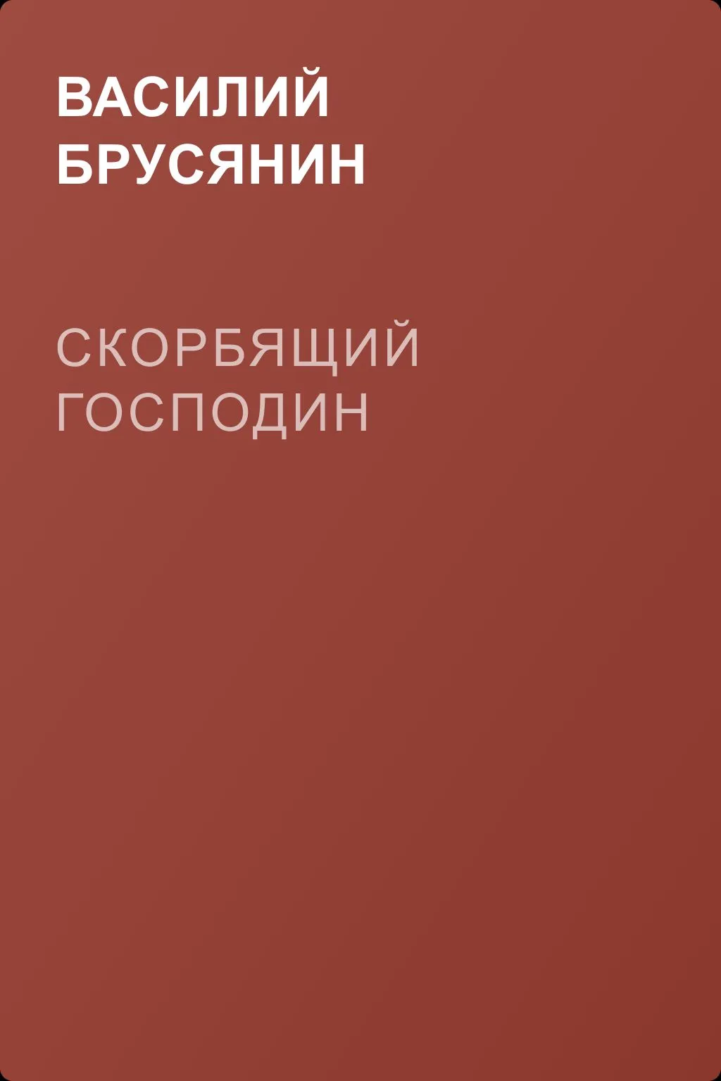 Скорбящий господин — обложка книги