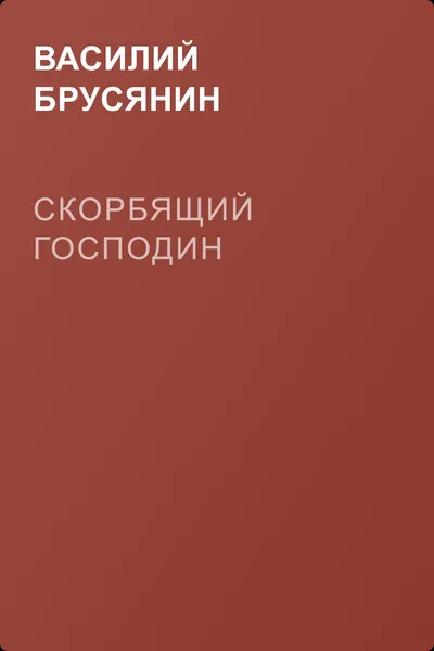 Скорбящий господин — обложка книги