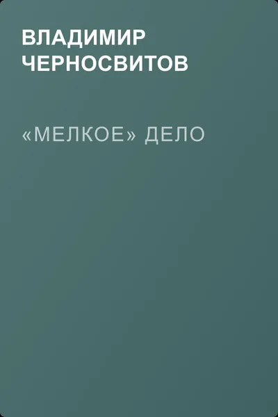 «Мелкое» дело — обложка книги