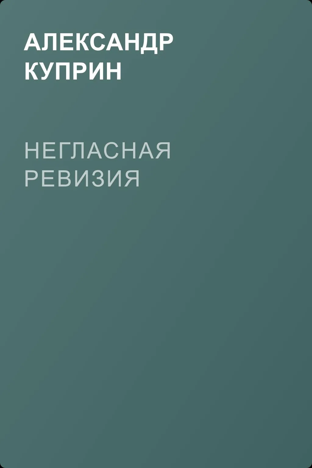 Негласная ревизия — обложка книги