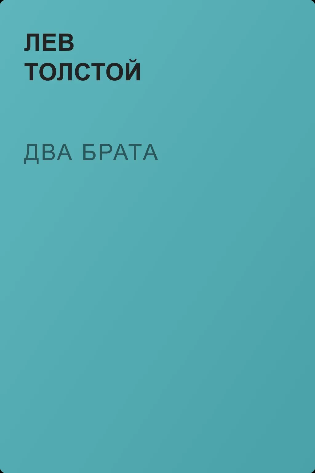 Два брата — обложка книги