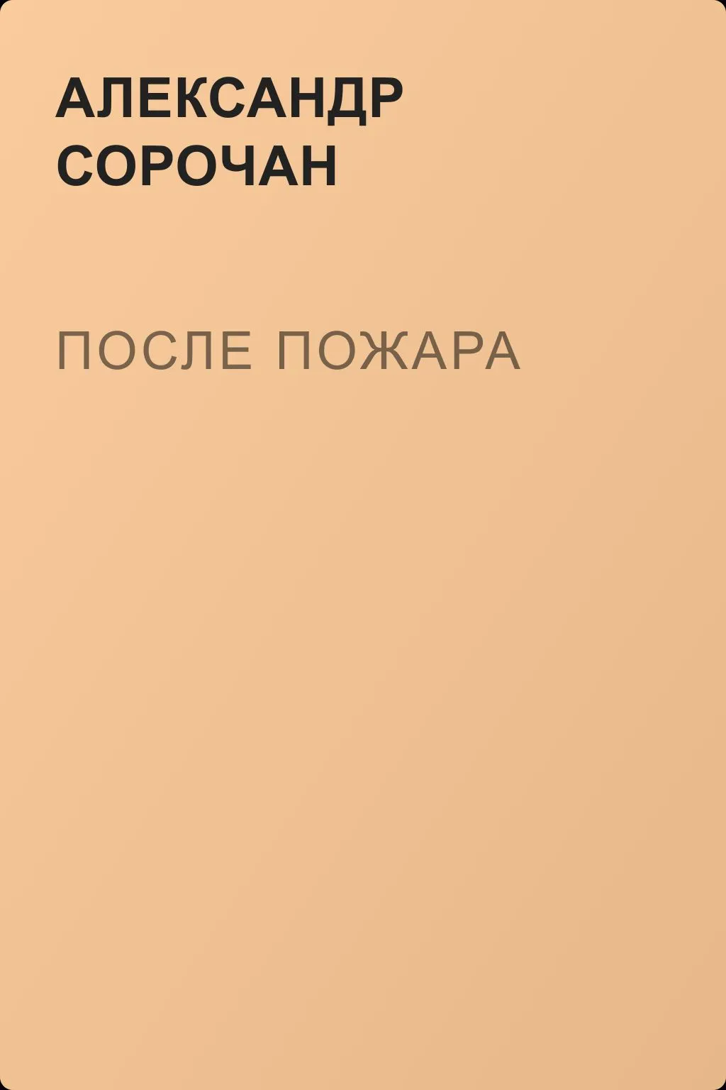 После пожара — обложка книги
