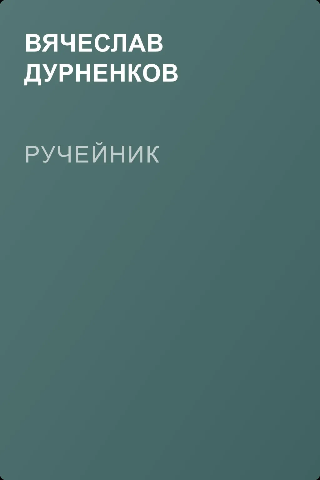 Ручейник — обложка книги