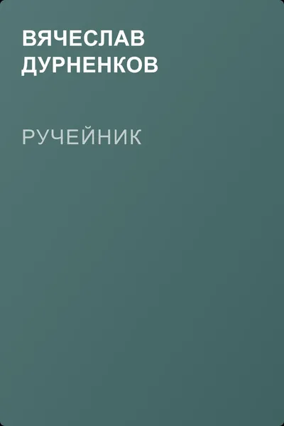 Ручейник — обложка книги