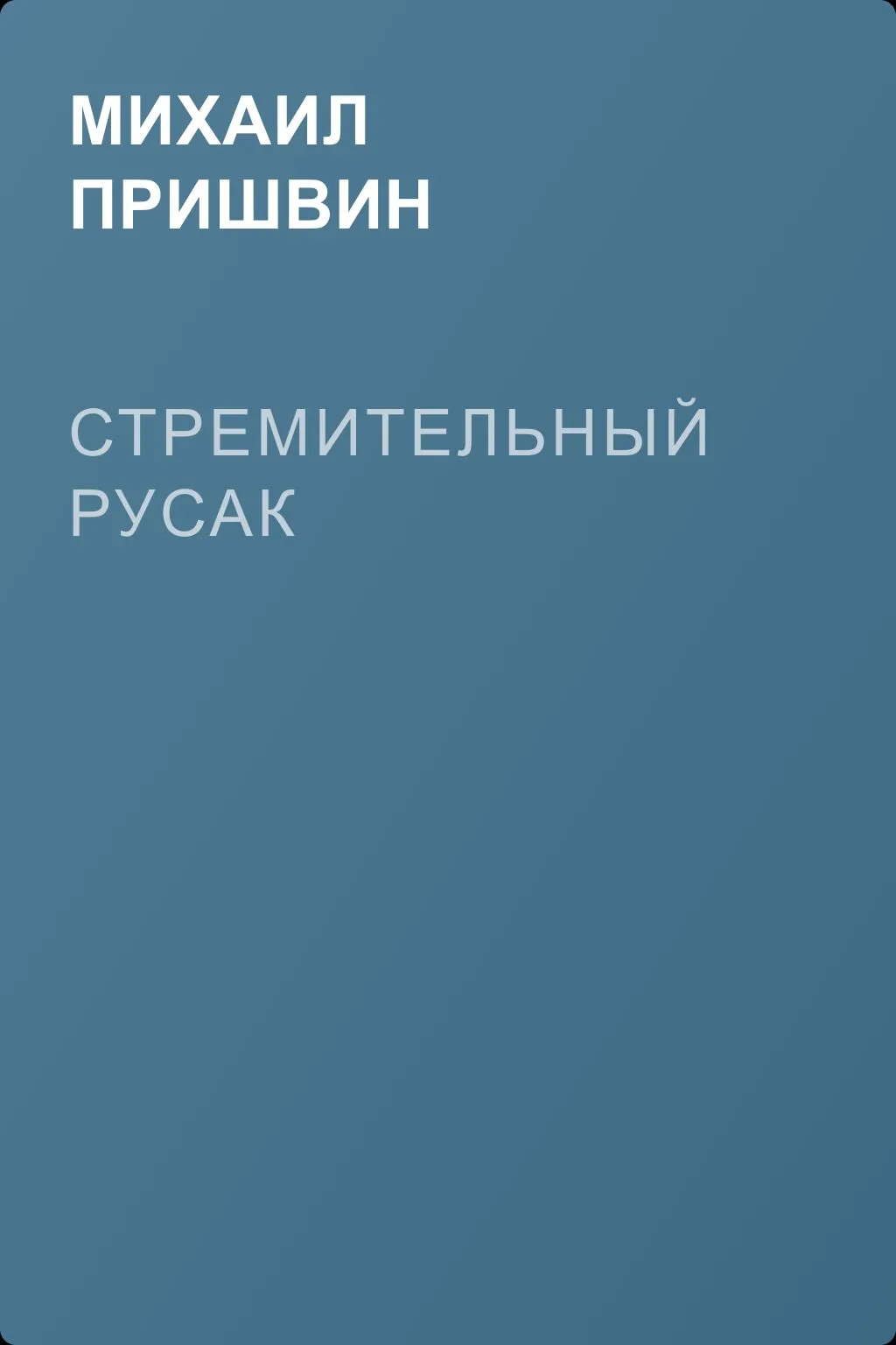 Стремительный русак — обложка книги