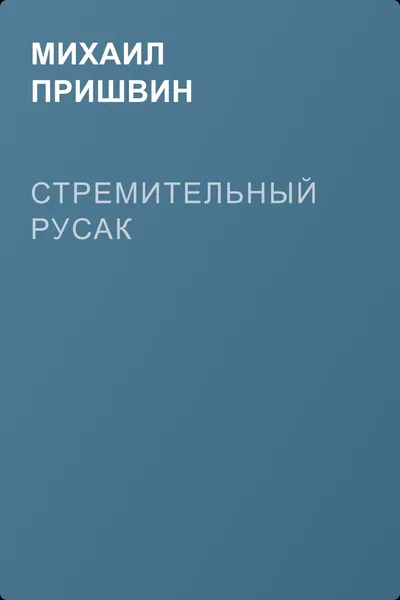 Стремительный русак — обложка книги