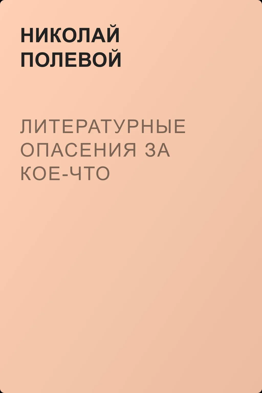 Литературные опасения за кое-что — обложка книги