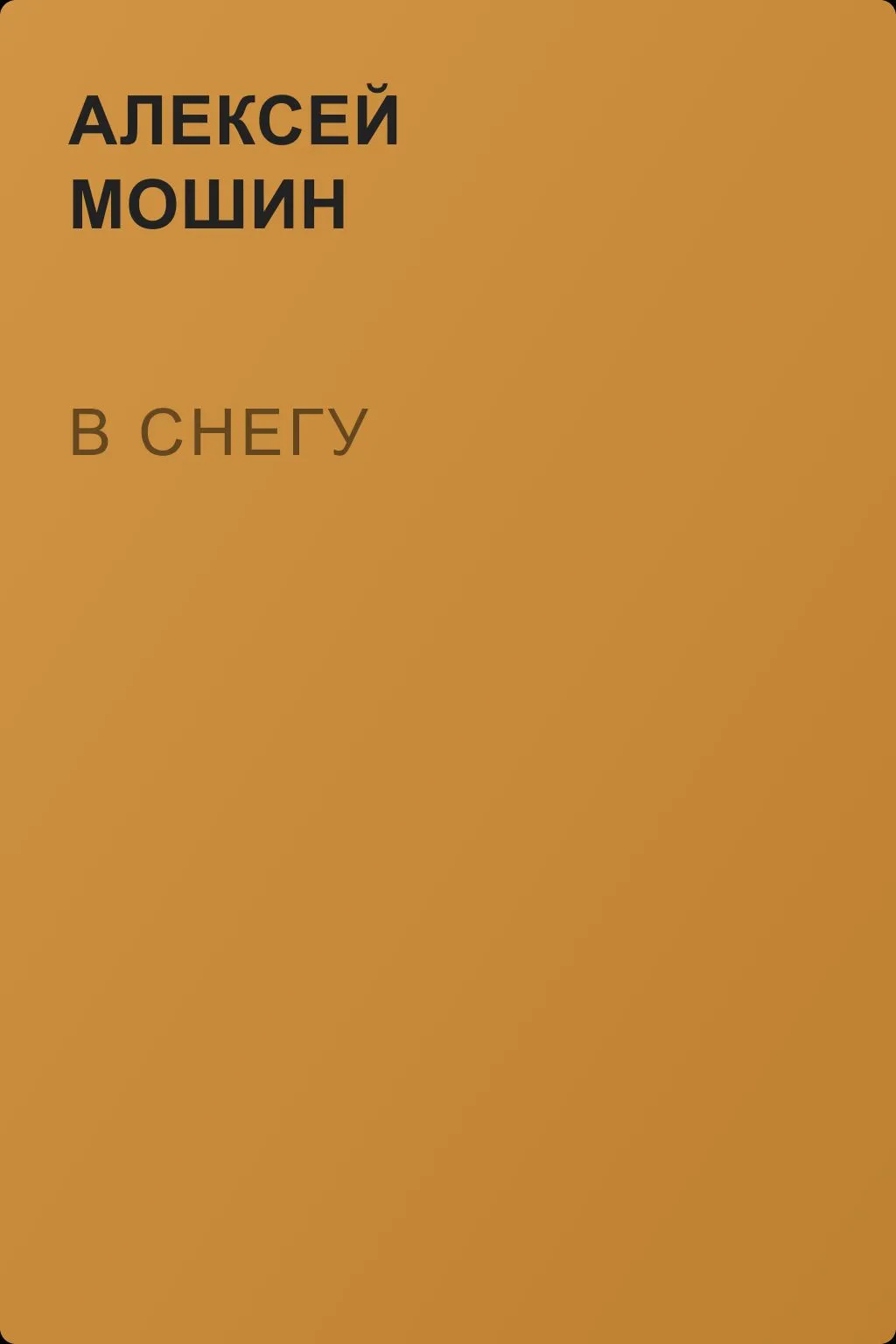 В снегу — обложка книги