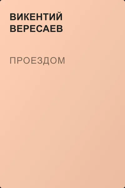 Проездом — обложка книги