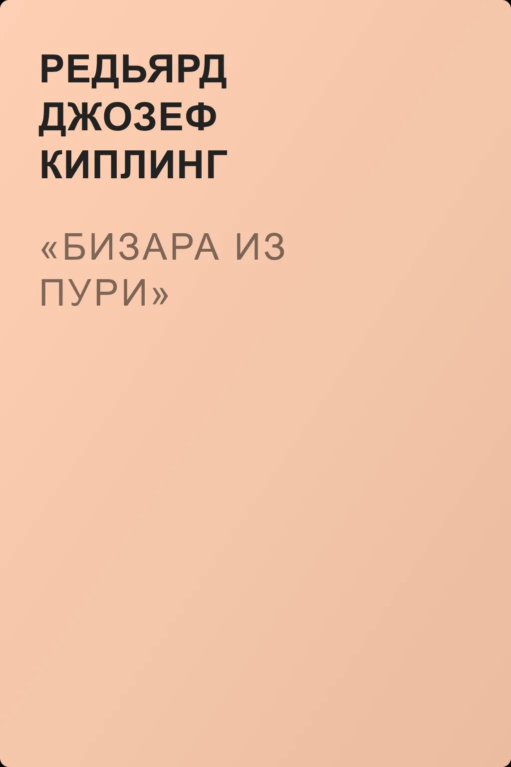 «Бизара из Пури» — обложка книги