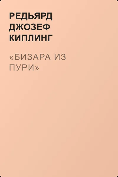 «Бизара из Пури» — обложка книги