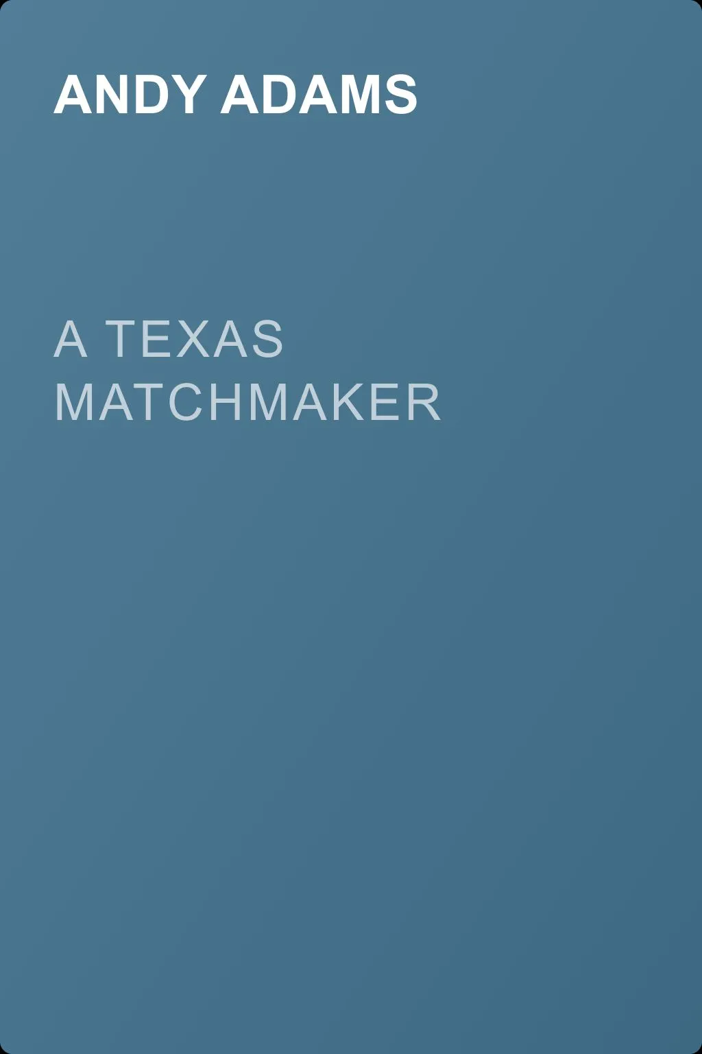 A Texas Matchmaker — обложка книги