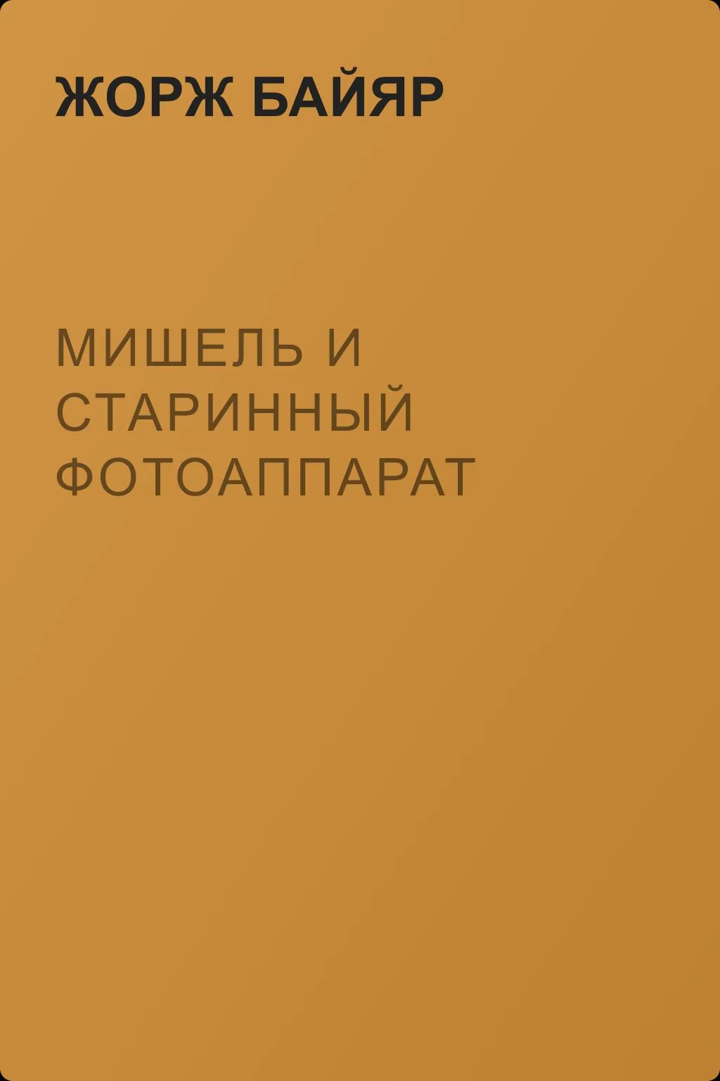 Мишель и старинный фотоаппарат — обложка книги