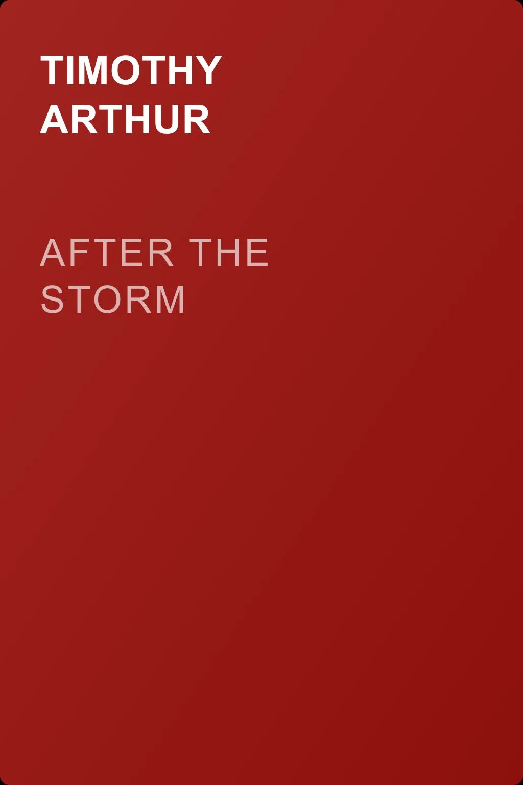 After the Storm — обложка книги