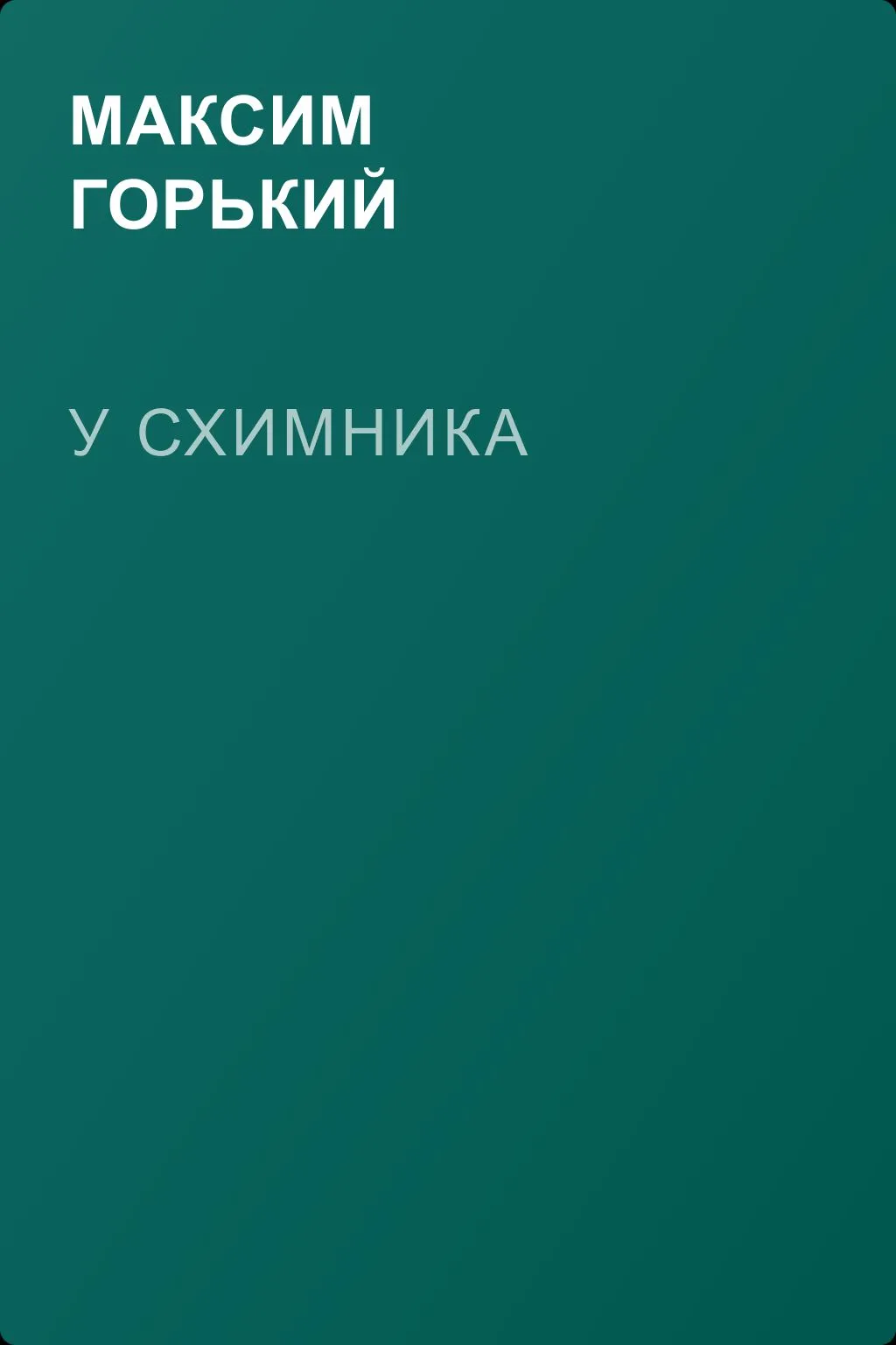 У Схимника — обложка книги
