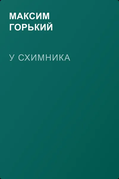 У Схимника — обложка книги