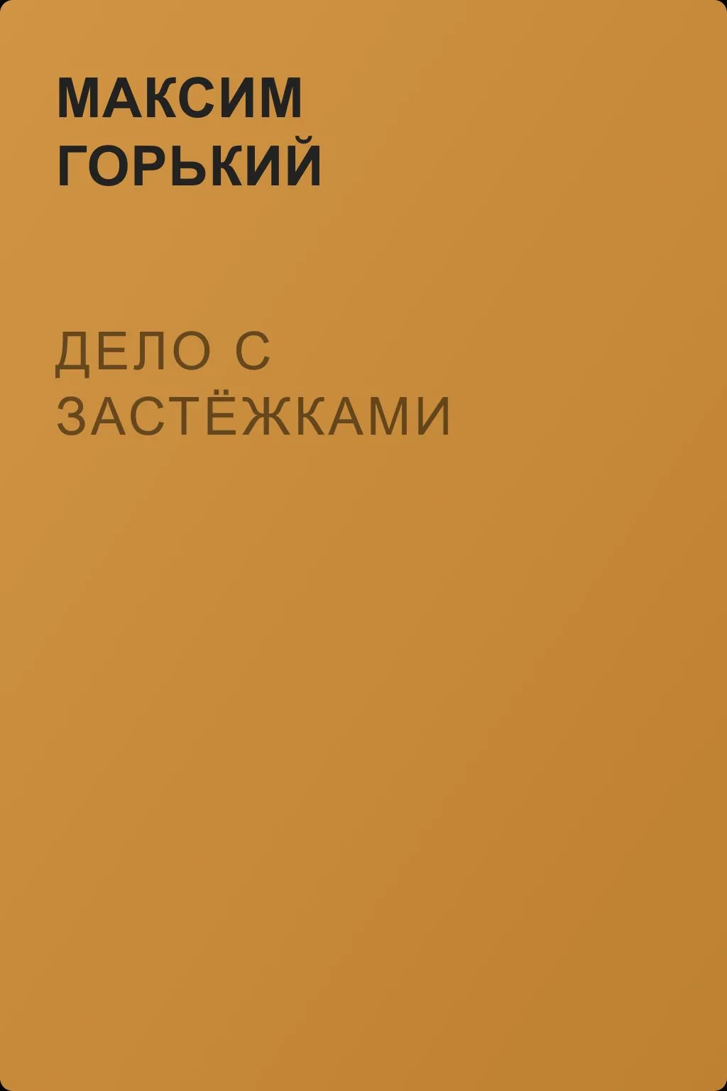 Дело с застёжками — обложка книги