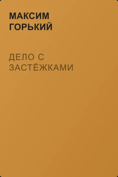 Дело с застёжками — обложка книги