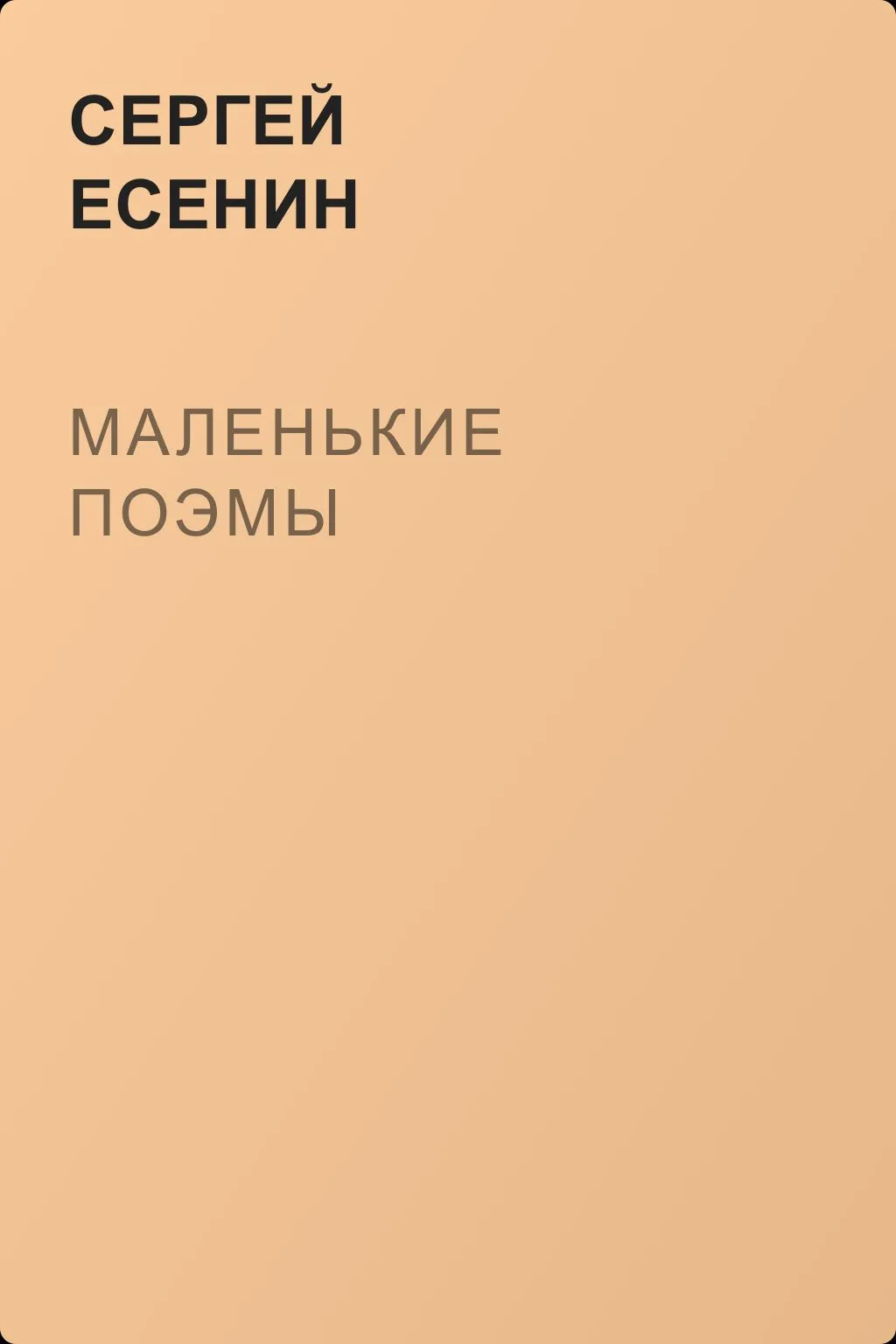 Маленькие поэмы — обложка книги