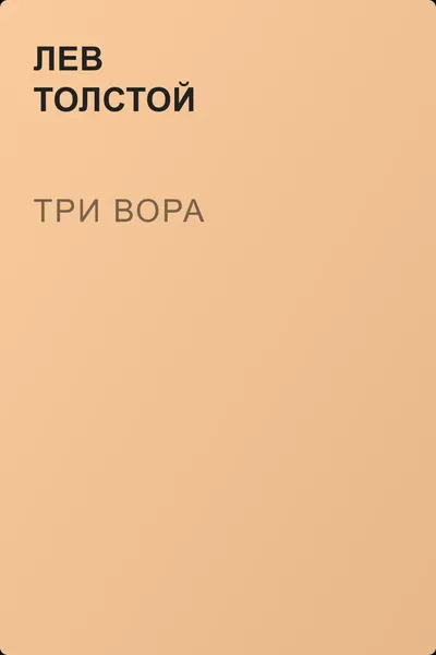 Три вора — обложка книги