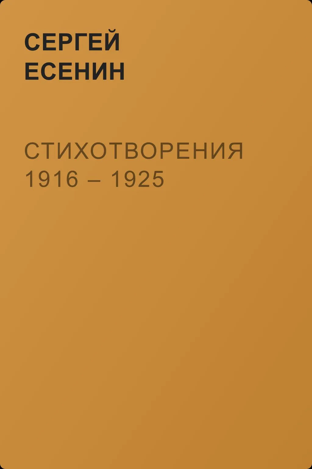 Стихотворения 1916 – 1925 — обложка книги