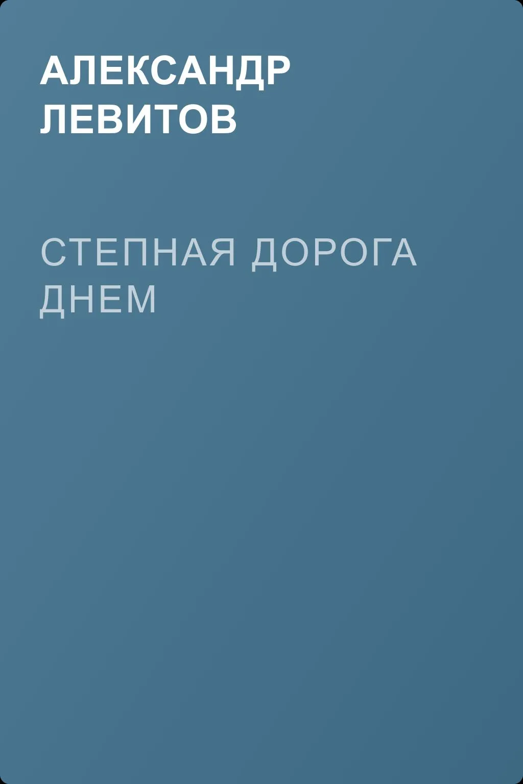 Степная дорога днем — обложка книги