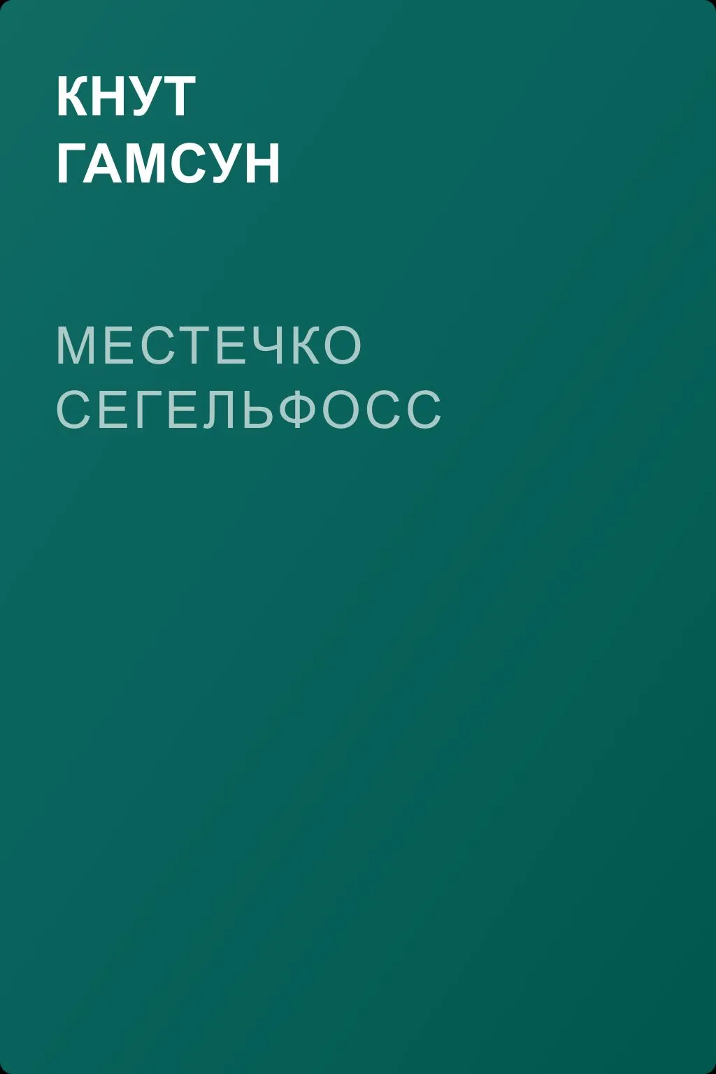 Местечко Сегельфосс — обложка книги