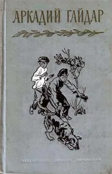 Из писем и дневников — обложка книги