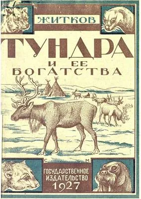 Тундра и ее богатства — обложка книги