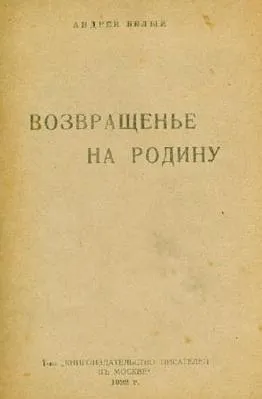 Возвращенье на родину — обложка книги