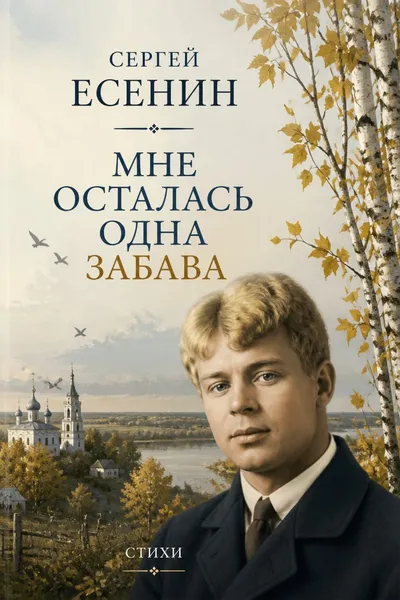 Мне осталась одна забава — обложка книги