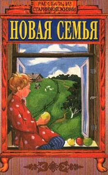 Новая семья — обложка книги