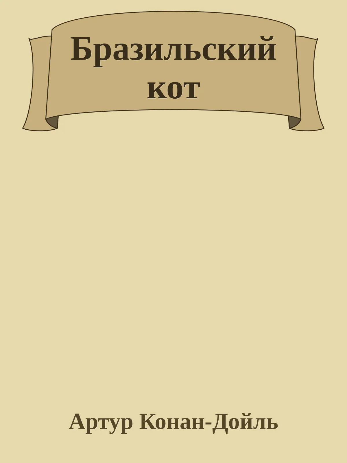 Бразильский кот — обложка книги